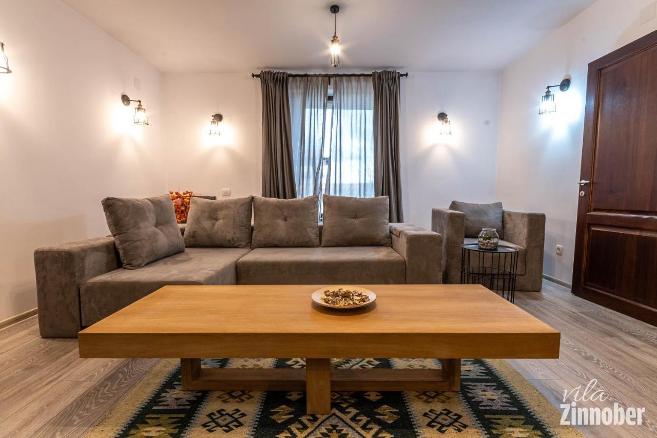 Vila Zinnober Braşov Exteriör bild