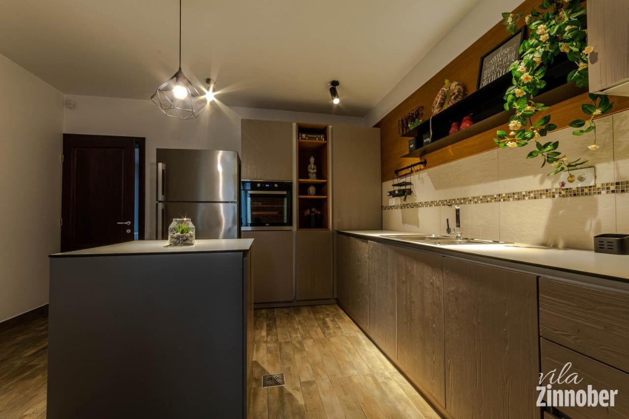 Vila Zinnober Braşov Exteriör bild