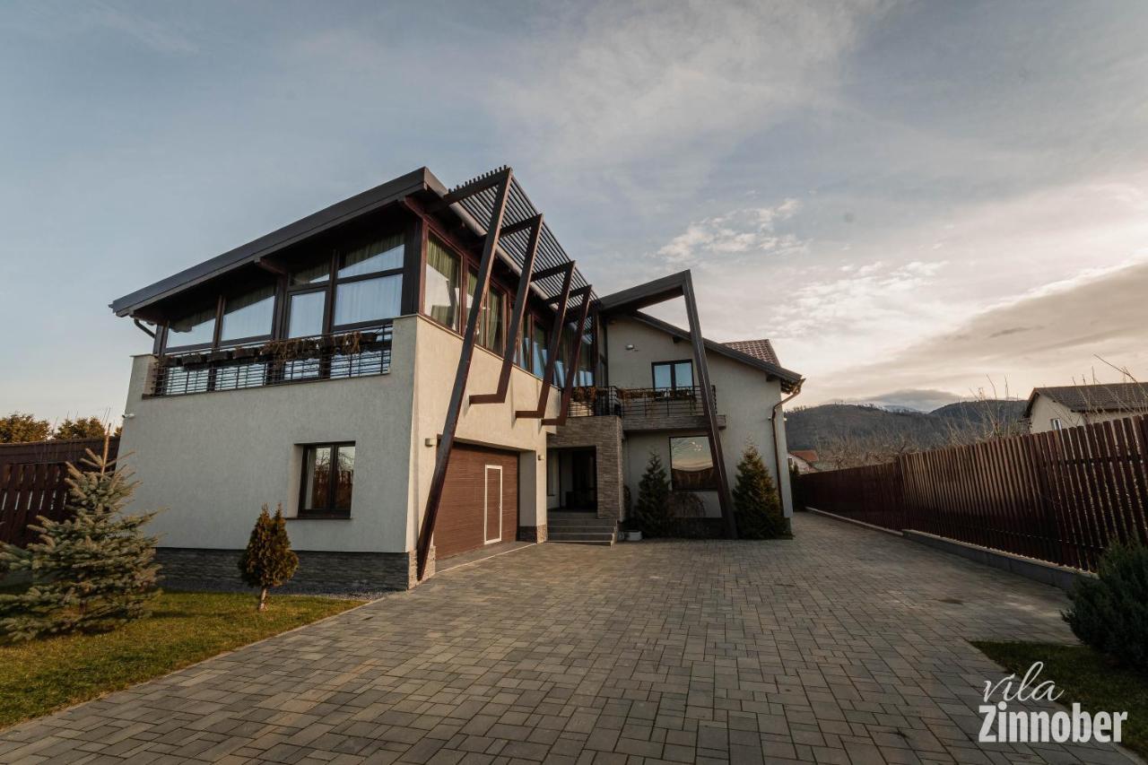 Vila Zinnober Braşov Exteriör bild