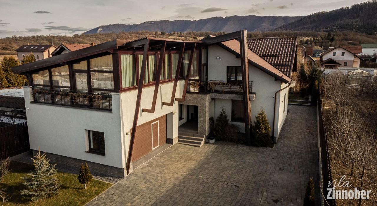 Vila Zinnober Braşov Exteriör bild