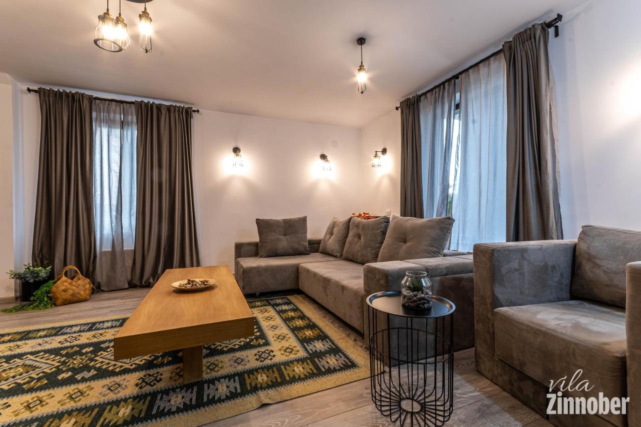 Vila Zinnober Braşov Exteriör bild